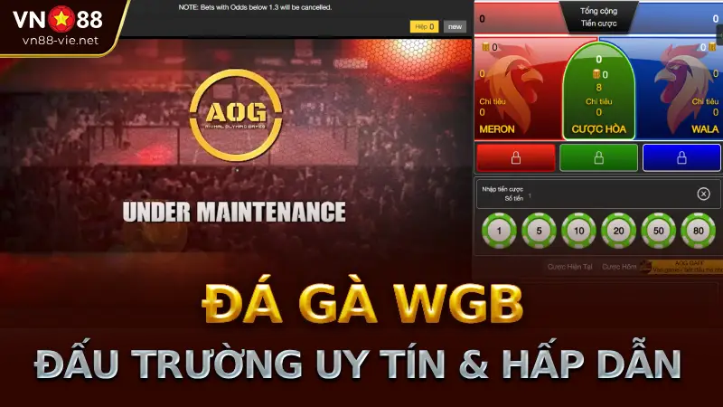 Giới thiệu sảnh đá gà WGB trên VN88